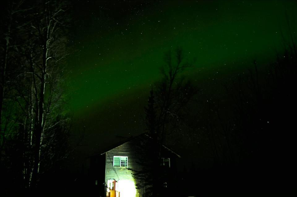 Grace And Bill'S Freedom Hills B&B Talkeetna Exterior photo